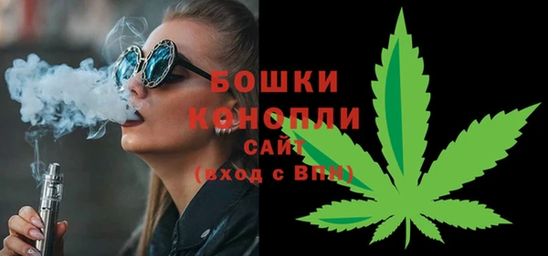 2c-b Горняк