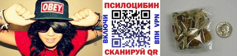 Псилоцибиновые грибы GOLDEN TEACHER  Новочебоксарск 